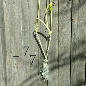 Bosalita Lariat Rope Western Pony Training Cavesson/Cowboy Caveson Noseband